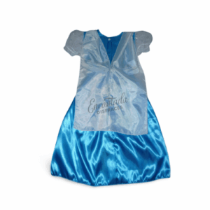 Disfraz Princesa Elsa